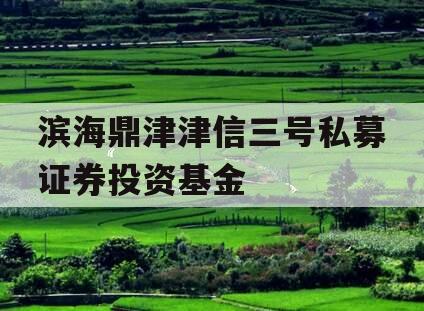 滨海鼎津津信三号私募证券投资基金