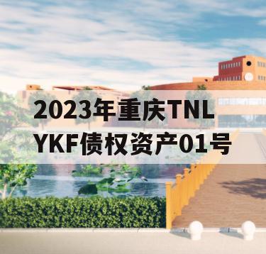 2023年重庆TNLYKF债权资产01号
