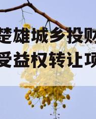 关于楚雄城乡投财产权信托受益权转让项目的信息