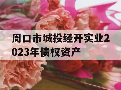 周口市城投经开实业2023年债权资产 周口市城投经开实业2023年债权资产