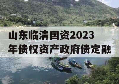 山东临清国资2023年债权资产政府债定融
