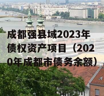 成都强县域2023年债权资产项目（2020年成都市债务余额）
