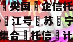 中央国企信托-130江号苏宁阜集合托信计划 中央国企信托-130江号苏宁阜集合托信计划