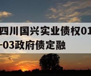 四川国兴实业债权01-03政府债定融