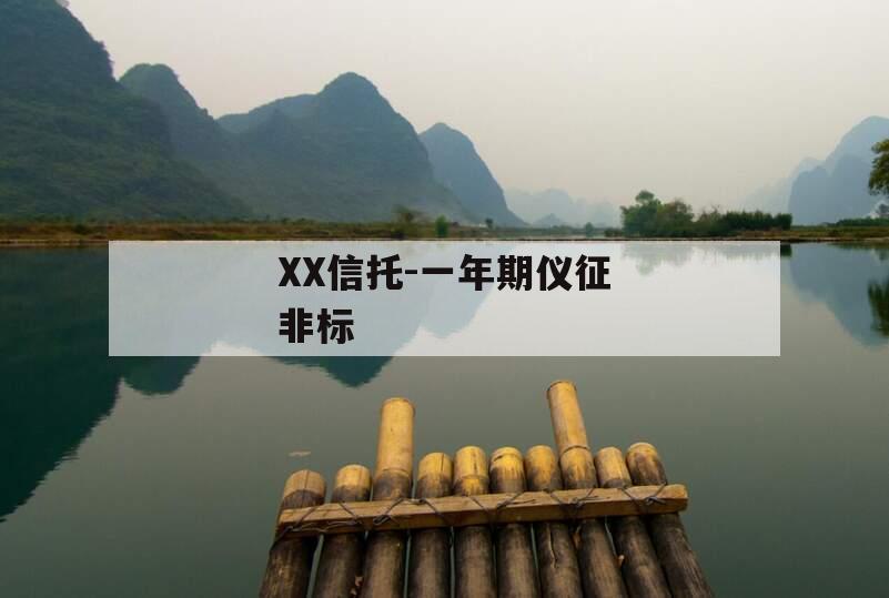 XX信托-一年期仪征非标