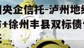 国央企信托-泸州地级市+徐州丰县双标债信托