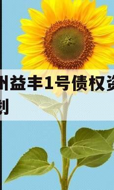 邓州益丰1号债权资产计划 邓州益丰1号债权资产计划