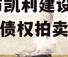 资阳市凯利建设投资2023年债权拍卖01-10号 资阳市凯利建设投资2023年债权拍卖01-10号