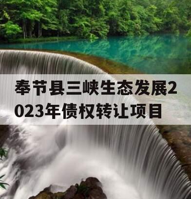 奉节县三峡生态发展2023年债权转让项目 奉节县三峡生态发展2023年债权转让项目