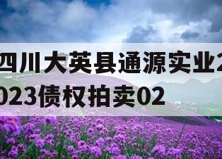 四川大英县通源实业2023债权拍卖02