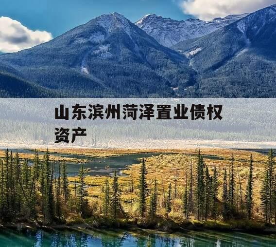 山东滨州菏泽置业债权资产