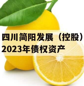 四川简阳发展(控股)2023年债权资产 四川简阳发展(控股)2023年债权资产