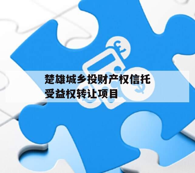 楚雄城乡投财产权信托受益权转让项目
