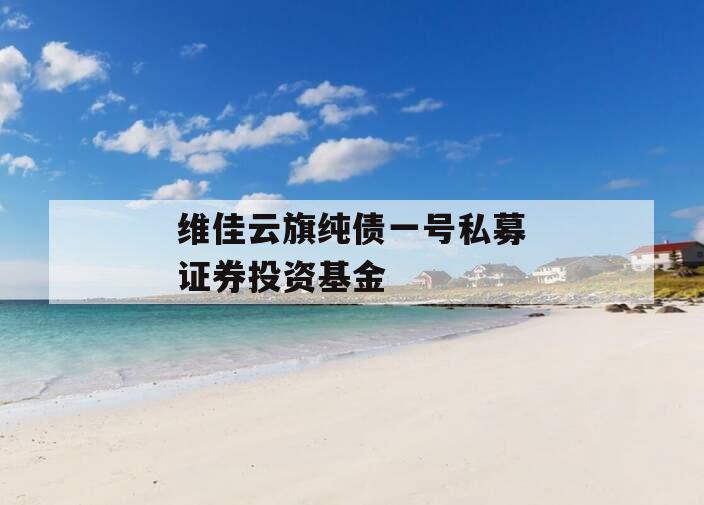 维佳云旗纯债一号私募证券投资基金