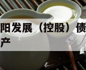 简阳发展(控股)债权资产 简阳发展(控股)债权资产