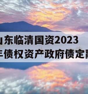 山东临清国资2023年债权资产政府债定融
