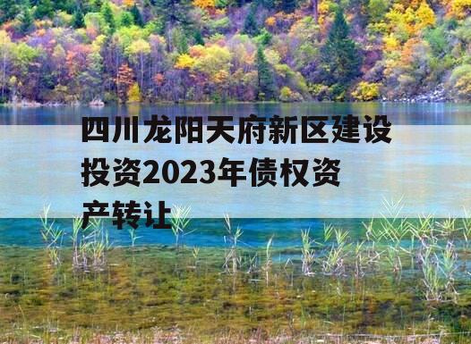 四川龙阳天府新区建设投资2023年债权资产转让 四川龙阳天府新区建设投资2023年债权资产转让