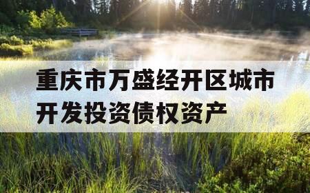 重庆市万盛经开区城市开发投资债权资产