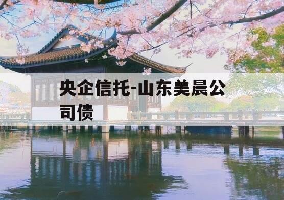 央企信托-山东美晨公司债