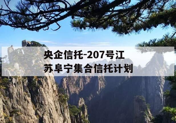 央企信托-207号江苏阜宁集合信托计划