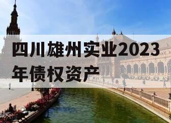 四川雄州实业2023年债权资产