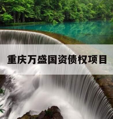 重庆万盛国资债权项目