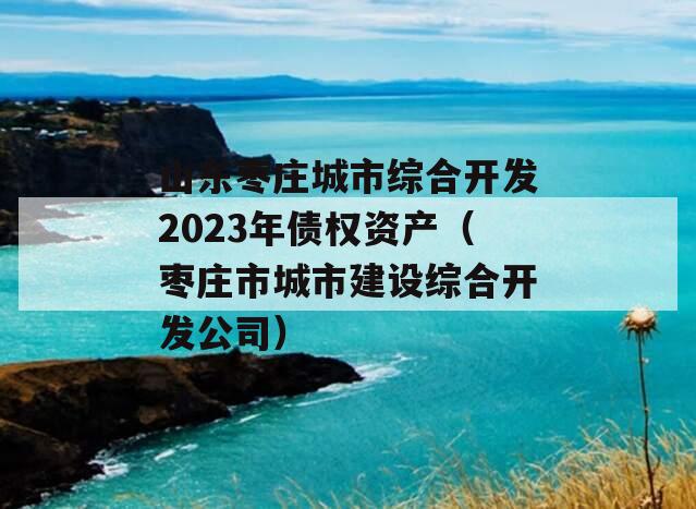 山东枣庄城市综合开发2023年债权资产（枣庄市城市建设综合开发公司）