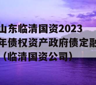 山东临清国资2023年债权资产政府债定融（临清国资公司）