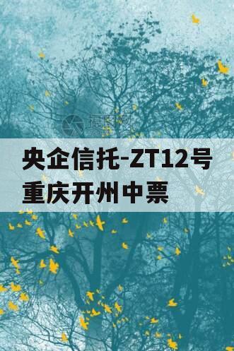 央企信托-ZT12号重庆开州中票