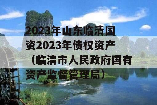 2023年山东临清国资2023年债权资产（临清市人民政府国有资产监督管理局）
