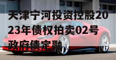 天津宁河投资控股2023年债权拍卖02号政府债定融
