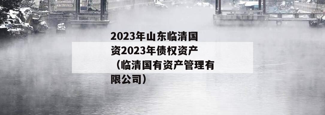 2023年山东临清国资2023年债权资产（临清国有资产管理有限公司）