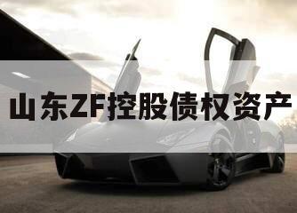 山东ZF控股债权资产