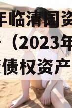 2023年临清国资债权资产（2023年临清国资债权资产有多少）