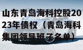 山东青岛海科控股2023年债权（青岛海科集团领导班子名单）