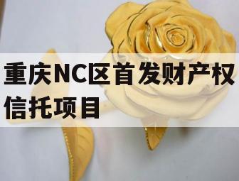 重庆NC区首发财产权信托项目