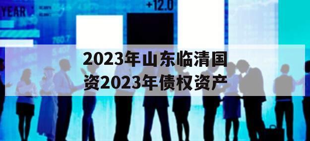 2023年山东临清国资2023年债权资产