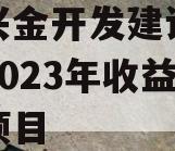 金堂兴金开发建设投资债权2023年收益权转让项目 金堂兴金开发建设投资债权2023年收益权转让项目