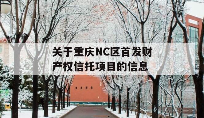 关于重庆NC区首发财产权信托项目的信息