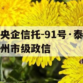 央企信托-91号·泰州市级政信