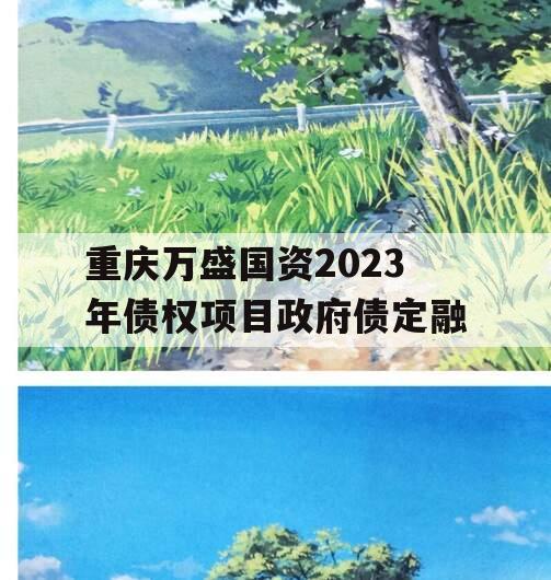 重庆万盛国资2023年债权项目政府债定融