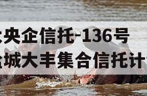 大央企信托-136号盐城大丰集合信托计划