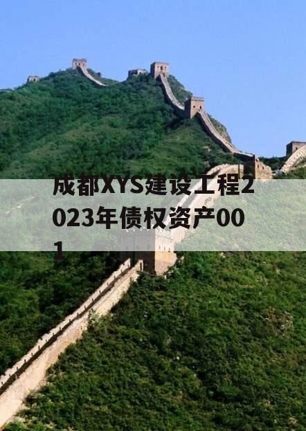 成都XYS建设工程2023年债权资产001 成都XYS建设工程2023年债权资产001
