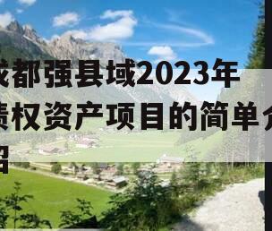 成都强县域2023年债权资产项目的简单介绍