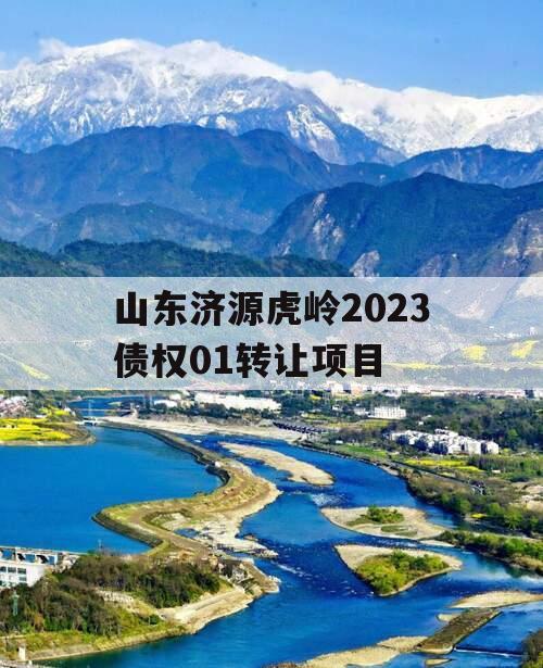 山东济源虎岭2023债权01转让项目