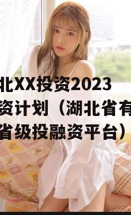 湖北XX投资2023融资计划（湖北省有哪些省级投融资平台）