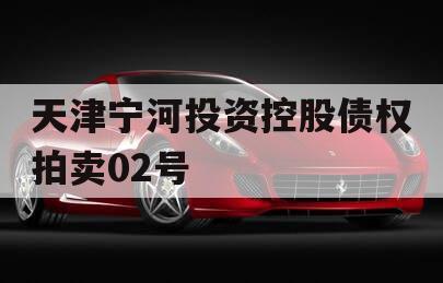 天津宁河投资控股债权拍卖02号 天津宁河投资控股债权拍卖02号