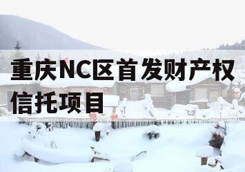 重庆NC区首发财产权信托项目 重庆NC区首发财产权信托项目