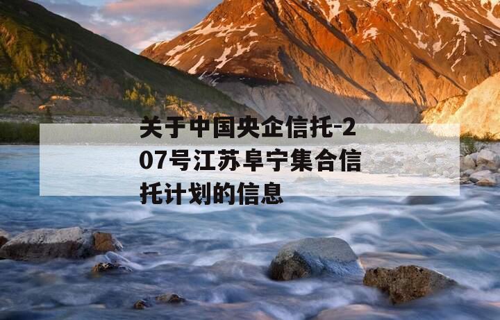 关于中国央企信托-207号江苏阜宁集合信托计划的信息
