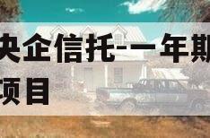 大央企信托-一年期盐城项目